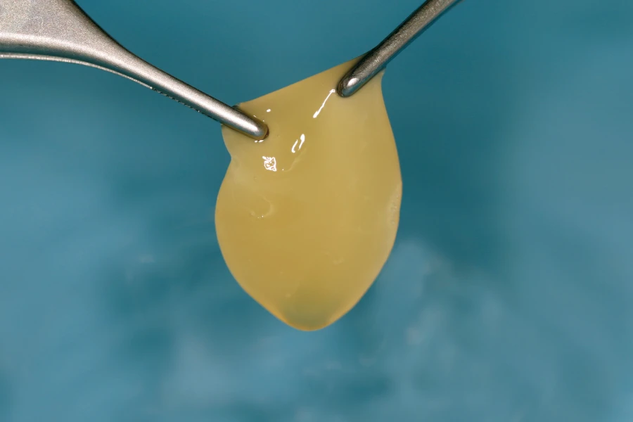 骨欠損部の再生促進