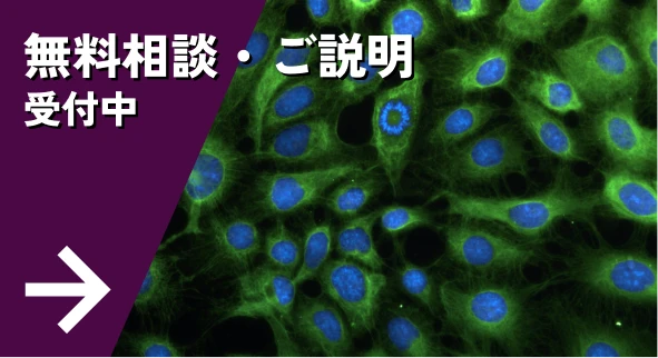 無料個別相談・ご説明　受付中