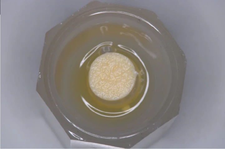 骨補填剤の準備